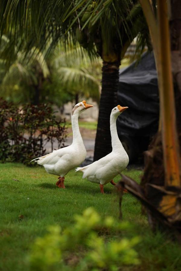 The Kerala Village, Shahapur Shenwa Экстерьер фото